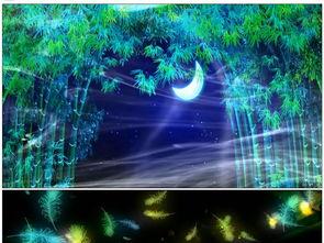 背景乐雀之灵,探寻古典音乐中的神秘魅力