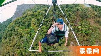 滑翔飞行背景音乐,滑翔飞行音乐中的自由旋律